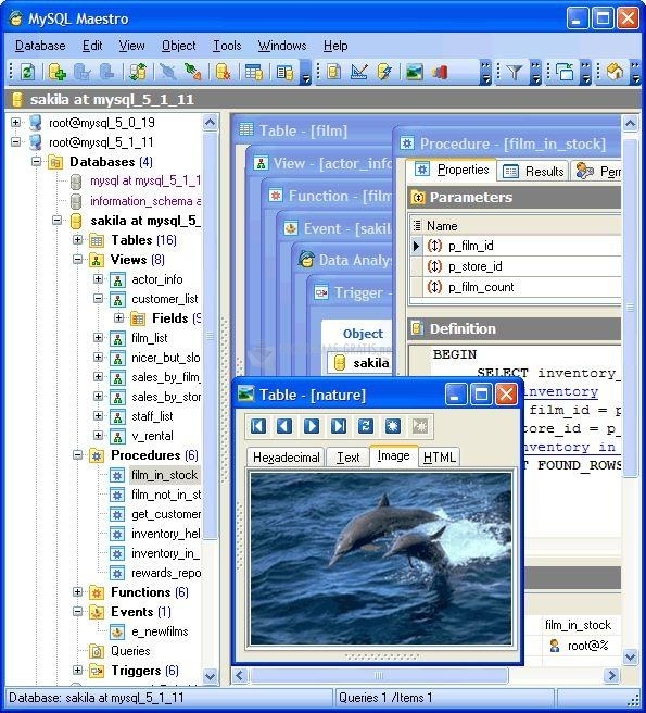 screenshot-SQL Maestro for MySQL-1