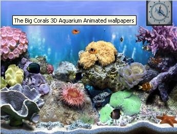 screenshot-The Big Corals-1