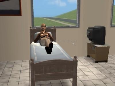 screenshot-The Sims 2 Update-1