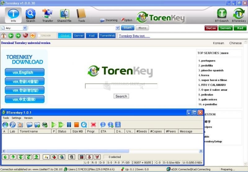 screenshot-TorenKey-1
