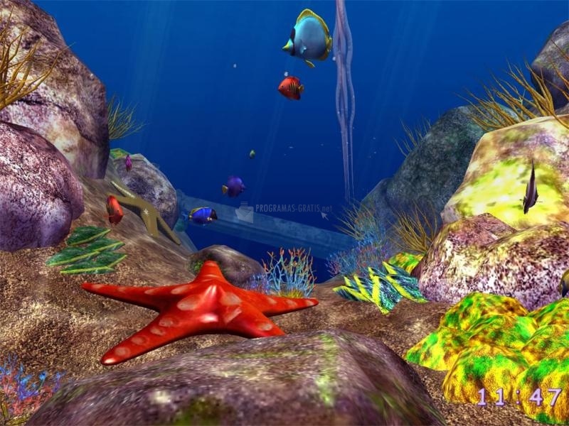 screenshot-Under the Sea 3D screensaver-1