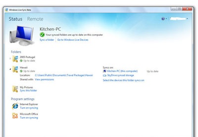 screenshot-Windows Live Sync-1