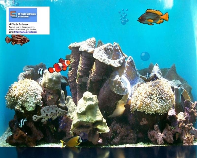 screenshot-XP Tools Software Aquarium-1